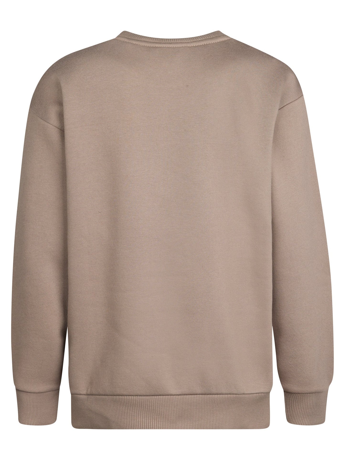 FELPA BOYS ADIRONDACK LOGO FLEECE