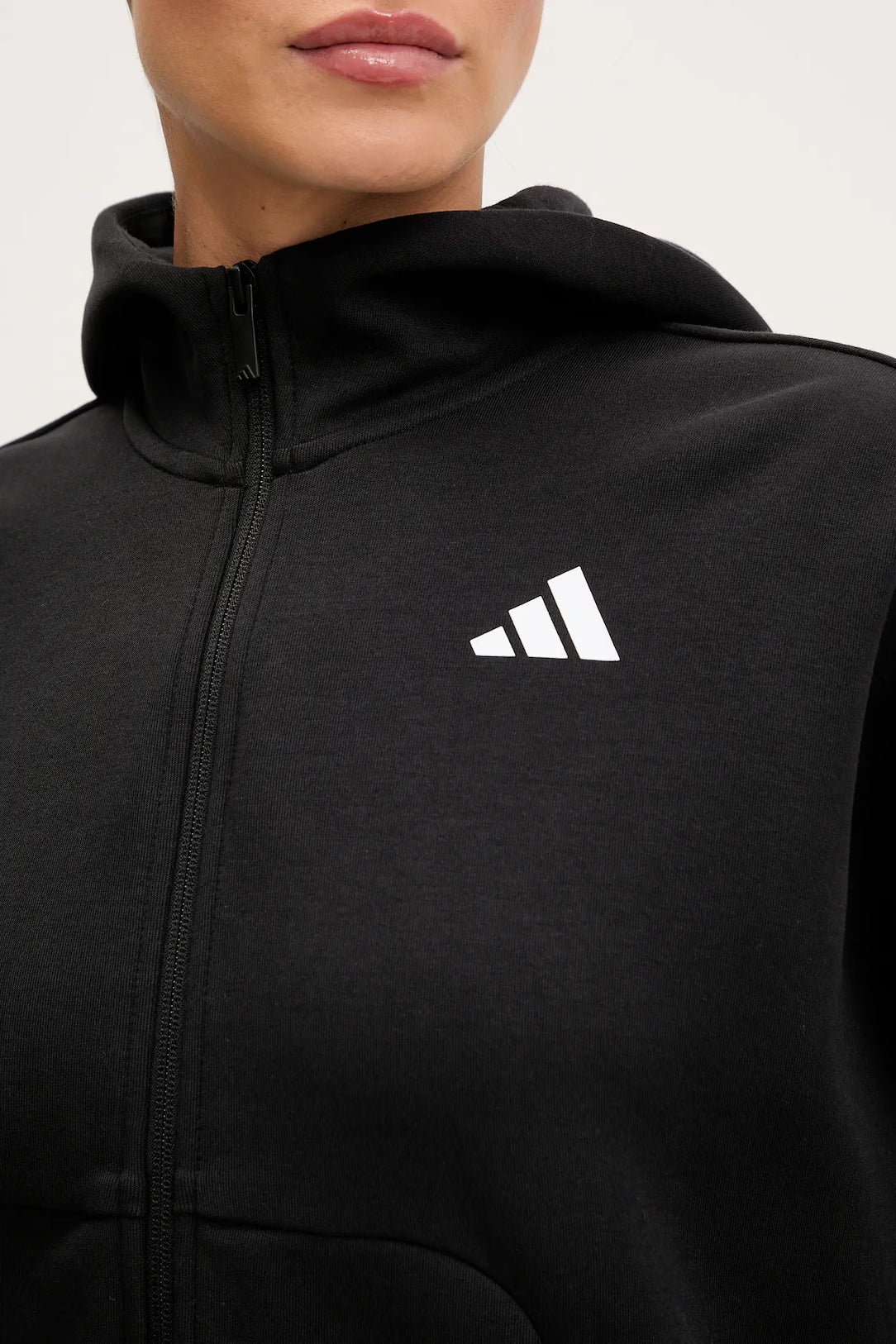 FELPA FUTURE ICONS FULL-ZIP
