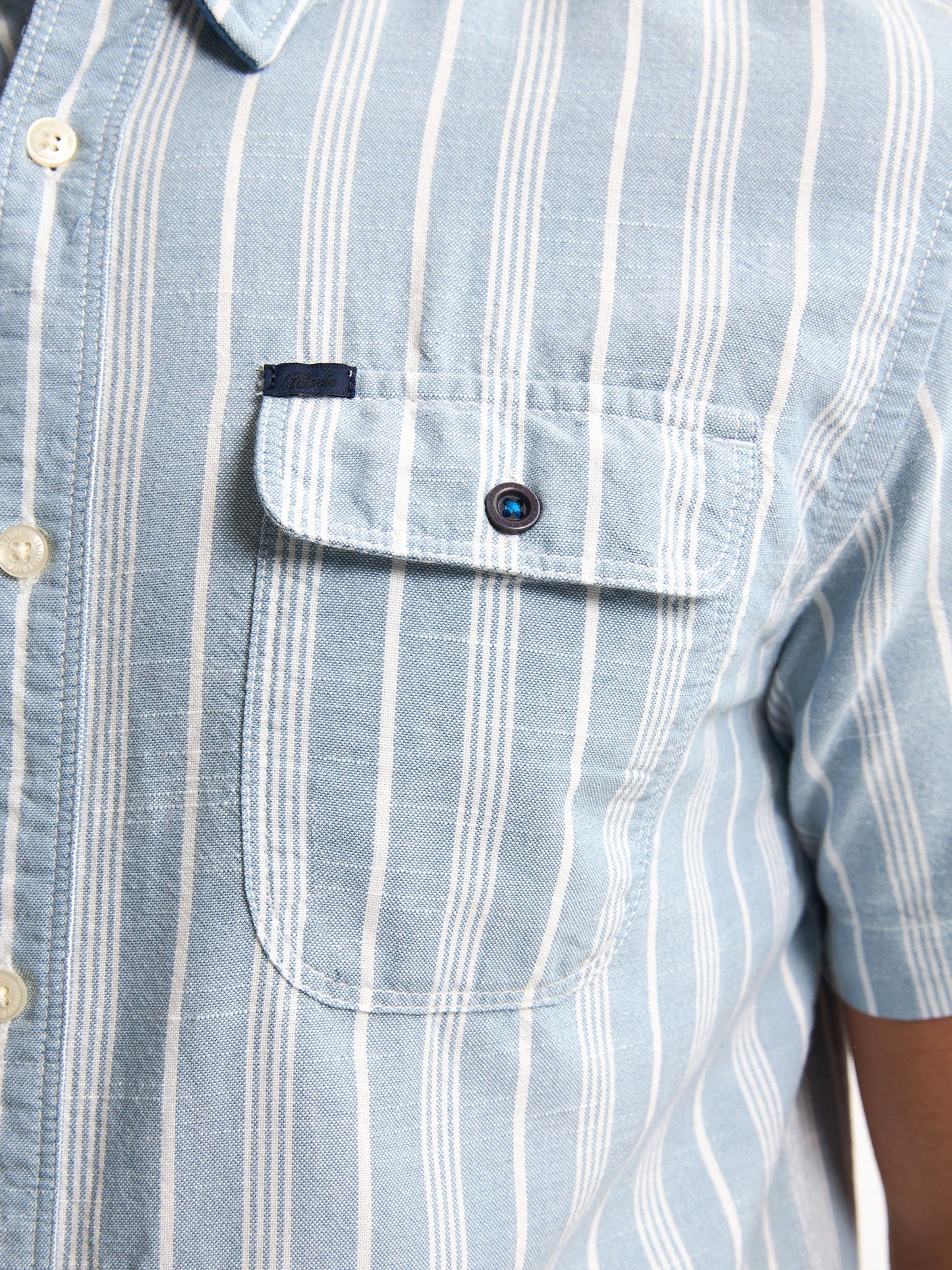 CAMICIA STRIPED TURTLEVISTA