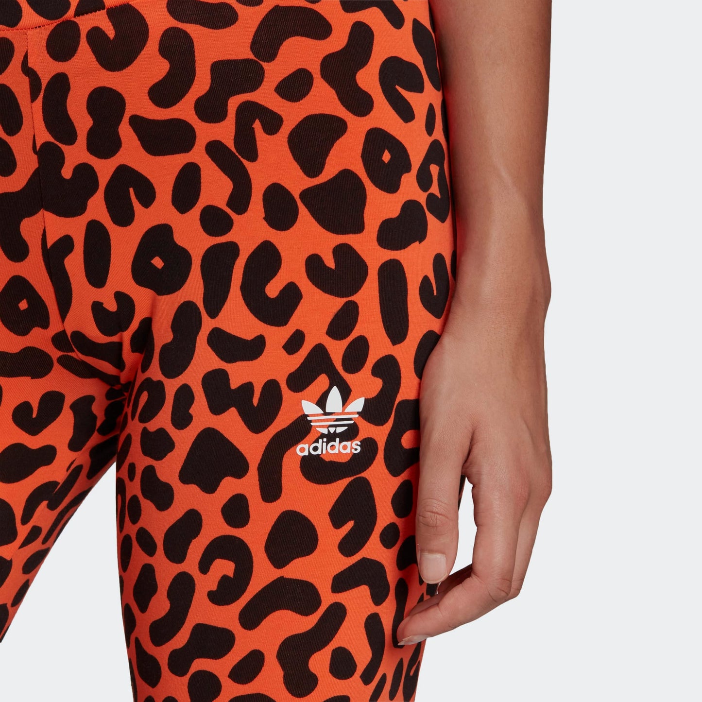 LEGGINGS RICH MNISI ANIMALIER