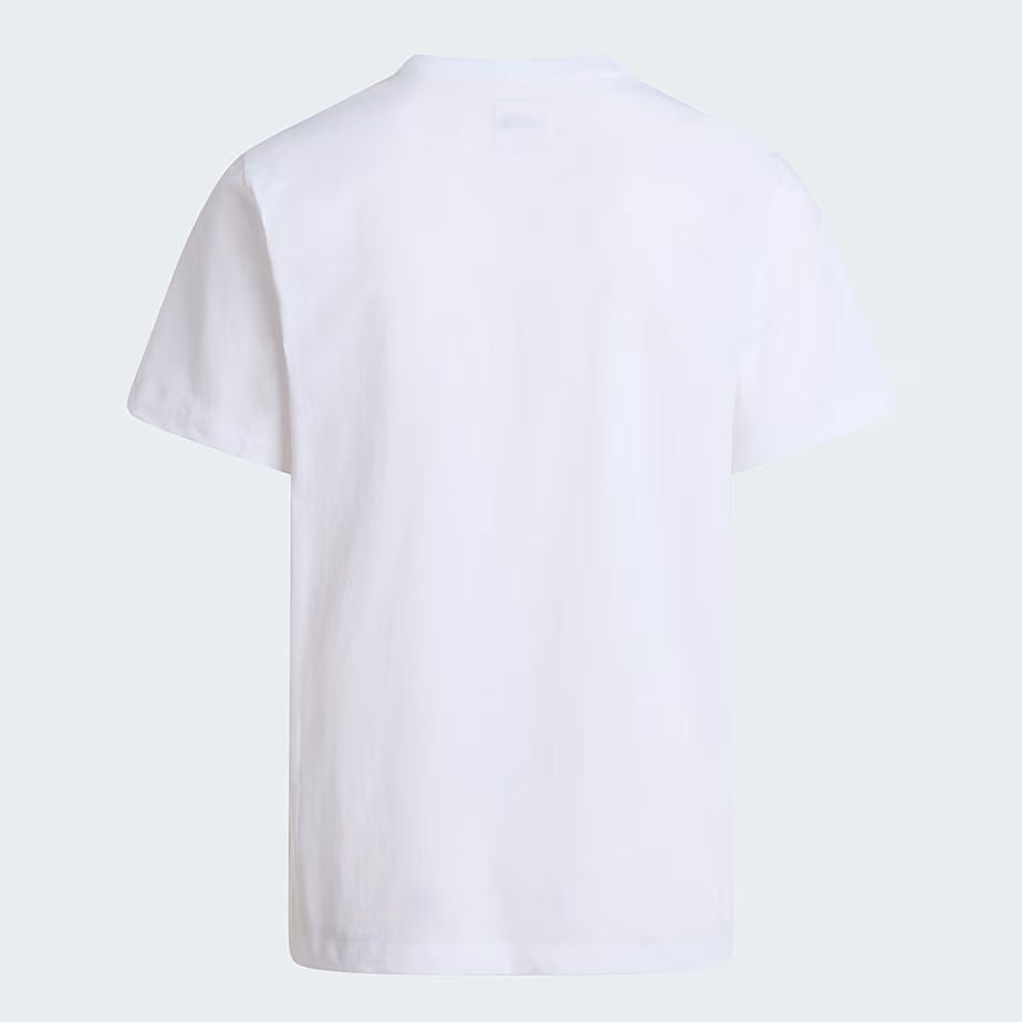 T-SHIRT EVOLUTION SIMPLE DOME