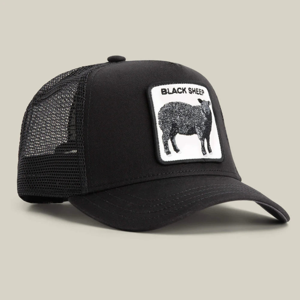 CAPPELLINO BLACK SHEEP TRUCKER