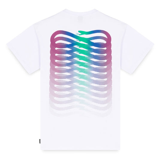 T-SHIRT RIBS GRADIENT