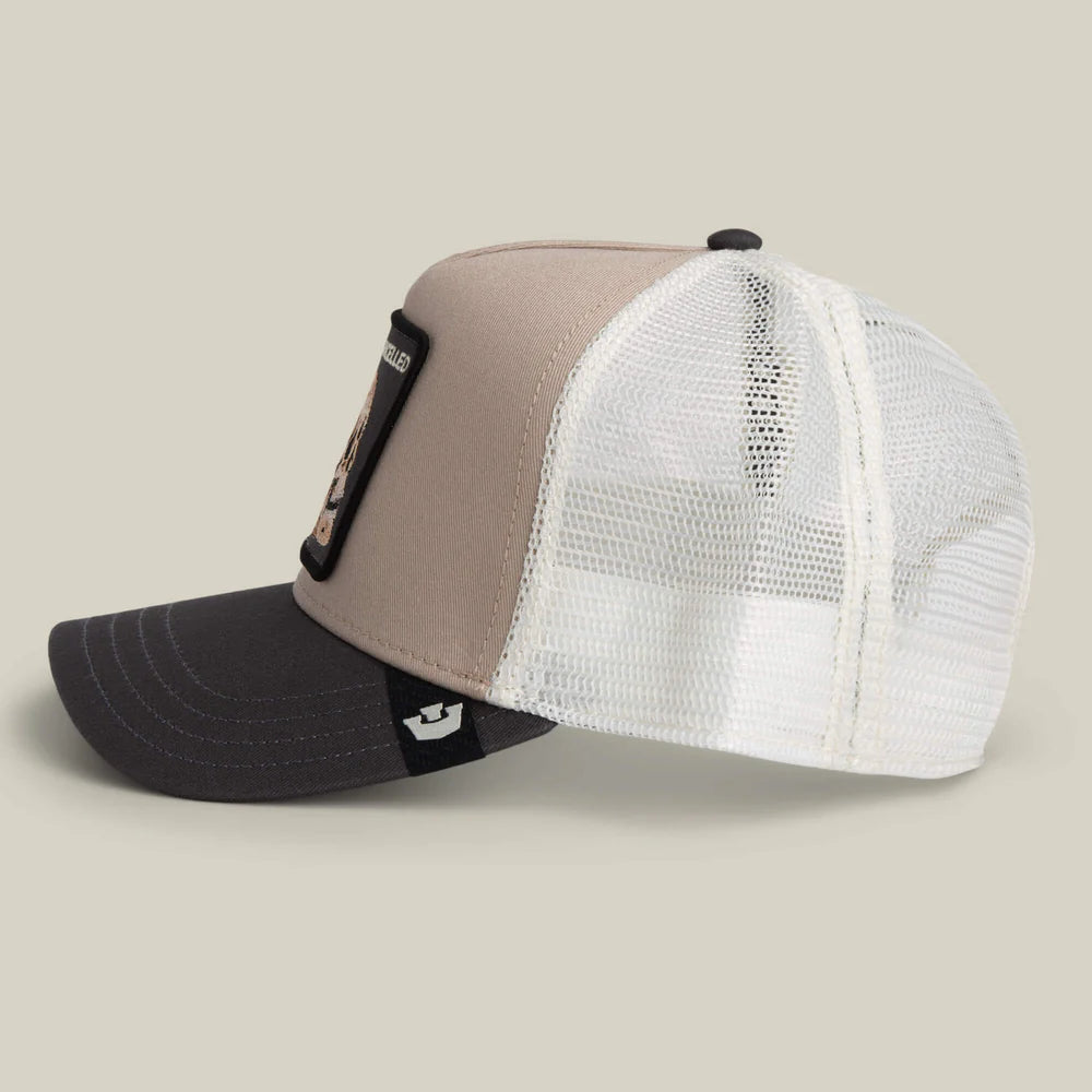 CAPPELLINO THE CANCELLED SKULL TRUCKER
