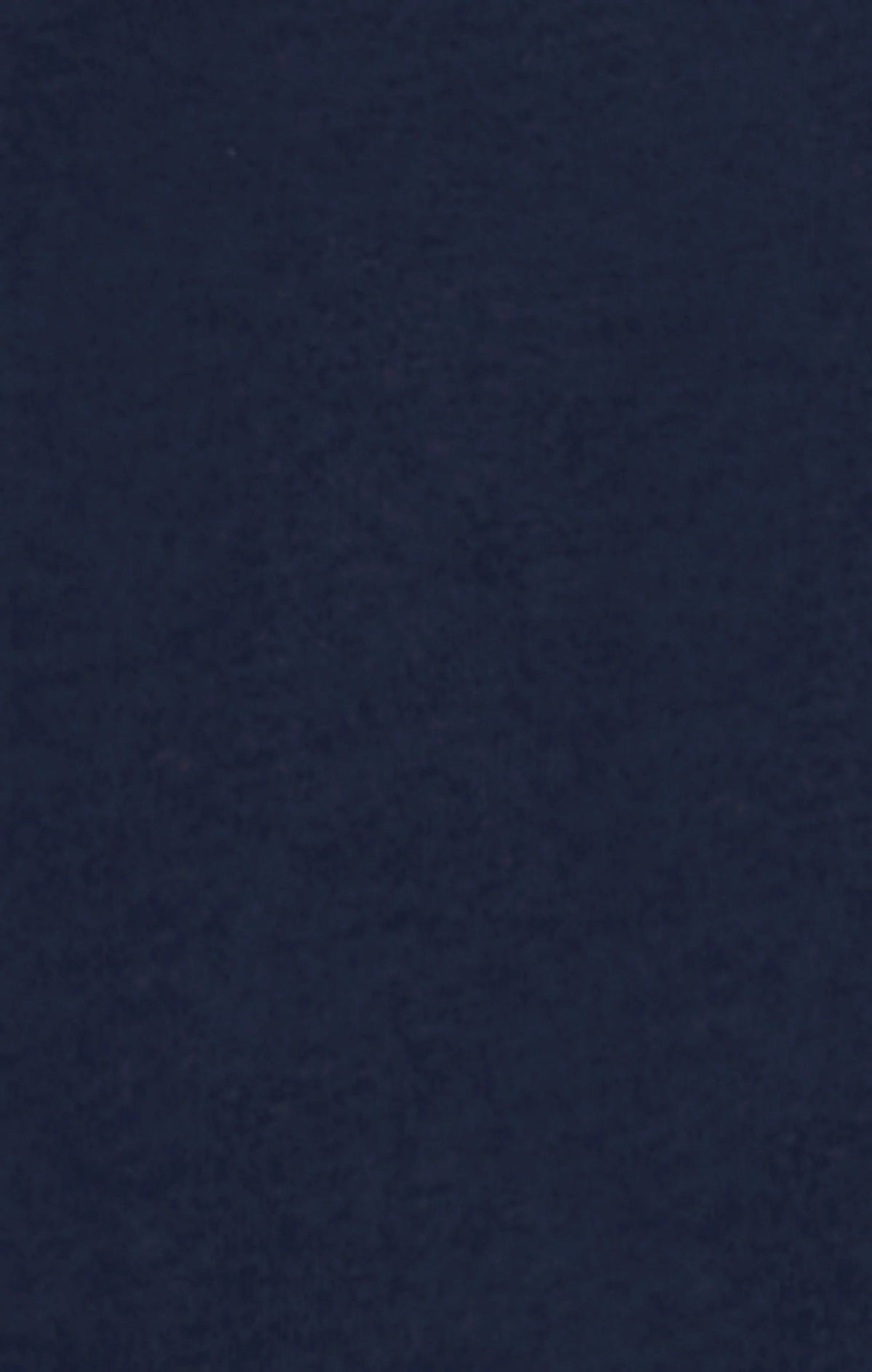 MAGLIA UOMO CHAMPION ICONS MANICA LUNGA – BLU NAVY
