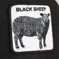 CAPPELLINO BLACK SHEEP TRUCKER