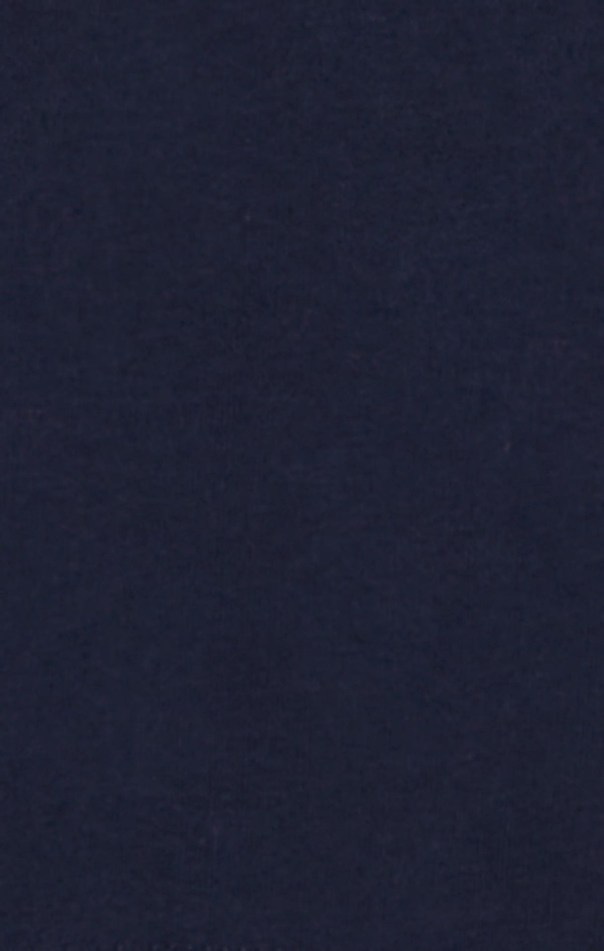T-SHIRT UOMO CHAMPION ICONS LOGO RICAMATO – BLU