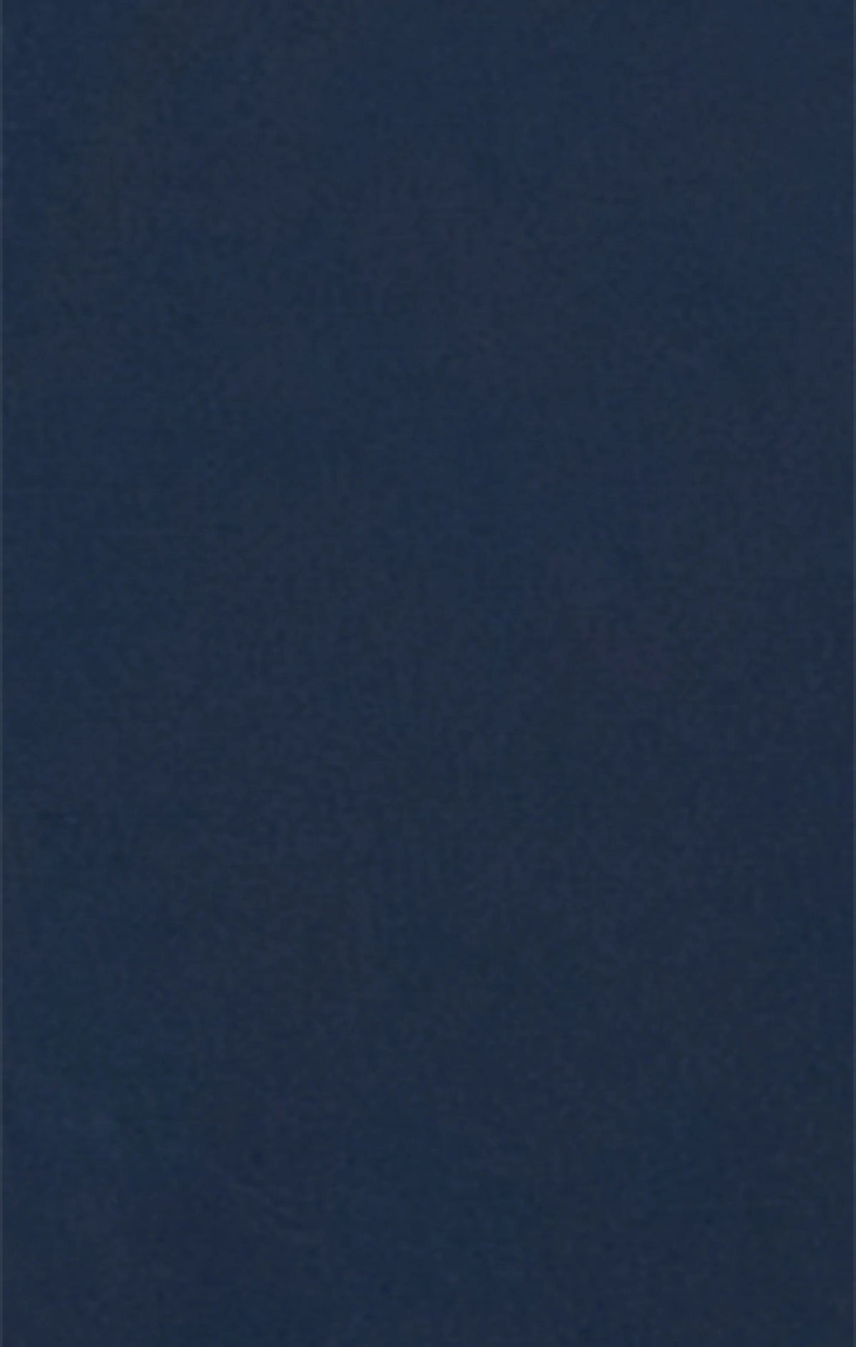 TUTA UOMO CHAMPION ACETATA FULL ZIP – BLU