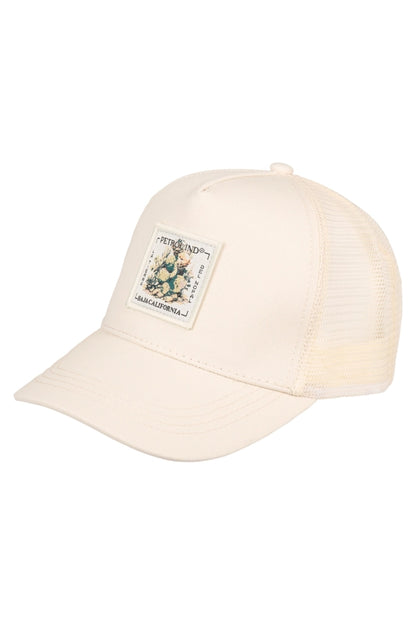 CAPPELLINO CALIFORNIA BASEBALL TRUCKER