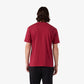 T-SHIRT UOMO CHAMPION ICONS LOGO RICAMATO – BORDEAUX