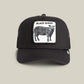 CAPPELLINO BLACK SHEEP TRUCKER