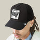CAPPELLINO BLACK SHEEP TRUCKER