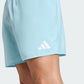 COSTUME 5 INCH SMIM SHORT