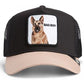 CAPPELLINO THE BAD BOY TRUCKER