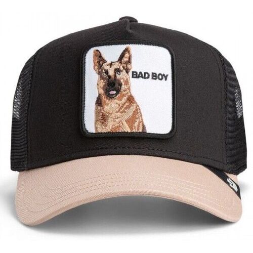 CAPPELLINO THE BAD BOY TRUCKER