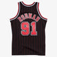 CANOTTA NBA CHICAGO BULLS 1995-96 DENNIS RODMAN