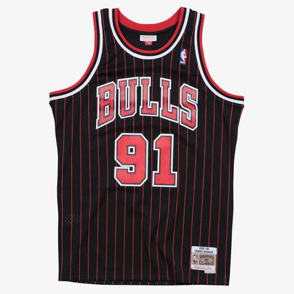 CANOTTA NBA CHICAGO BULLS 1995-96 DENNIS RODMAN