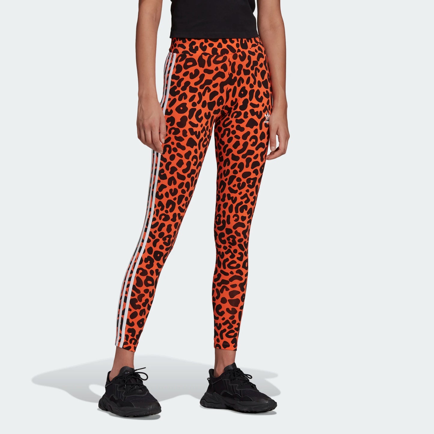 LEGGINGS RICH MNISI ANIMALIER