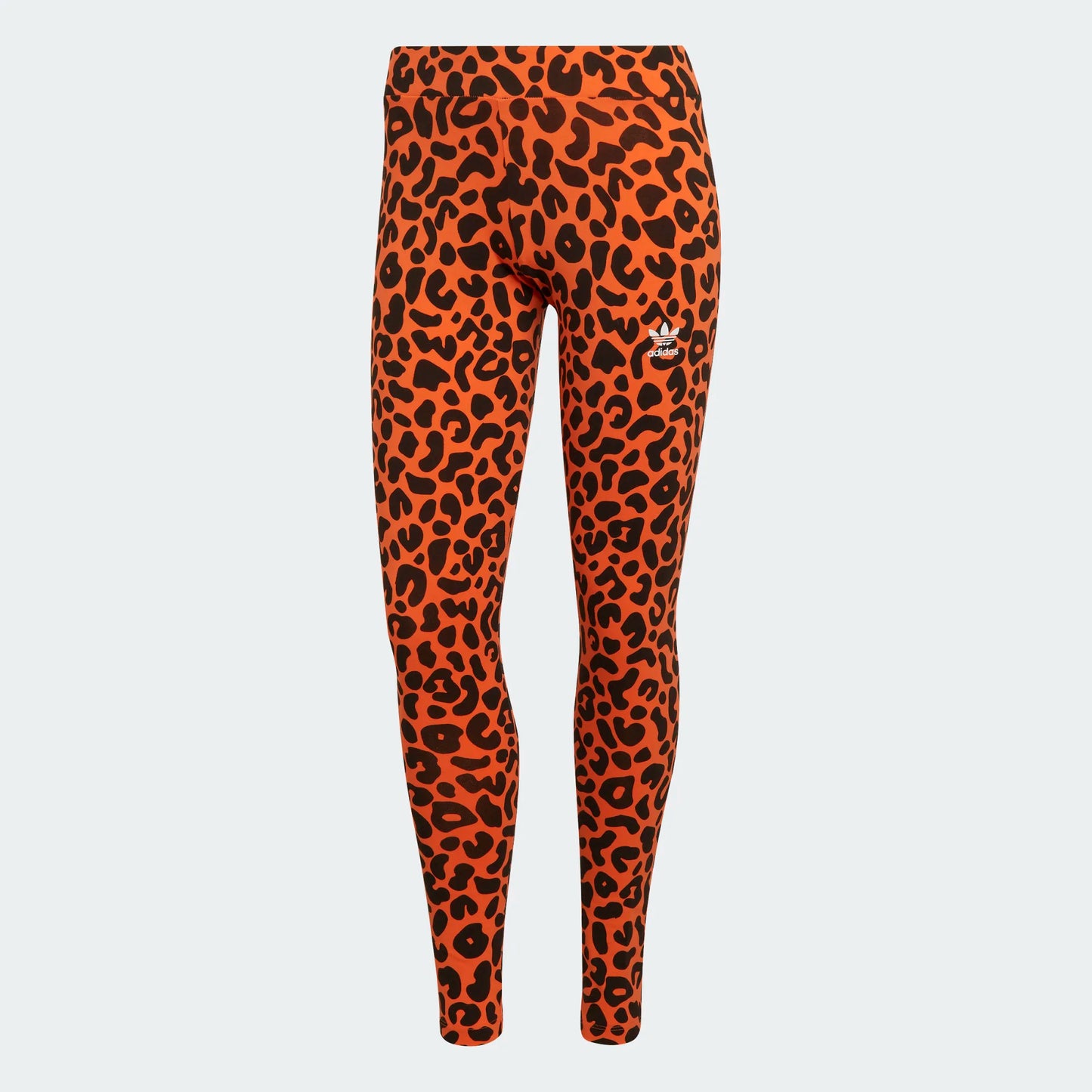 LEGGINGS RICH MNISI ANIMALIER