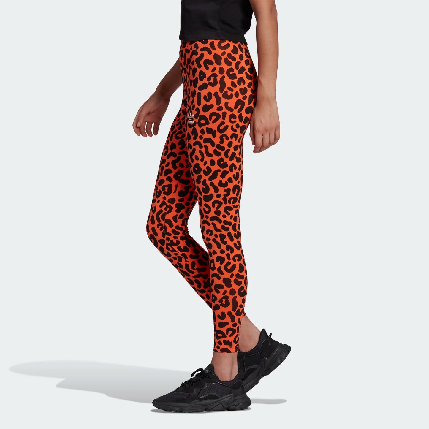 LEGGINGS RICH MNISI ANIMALIER