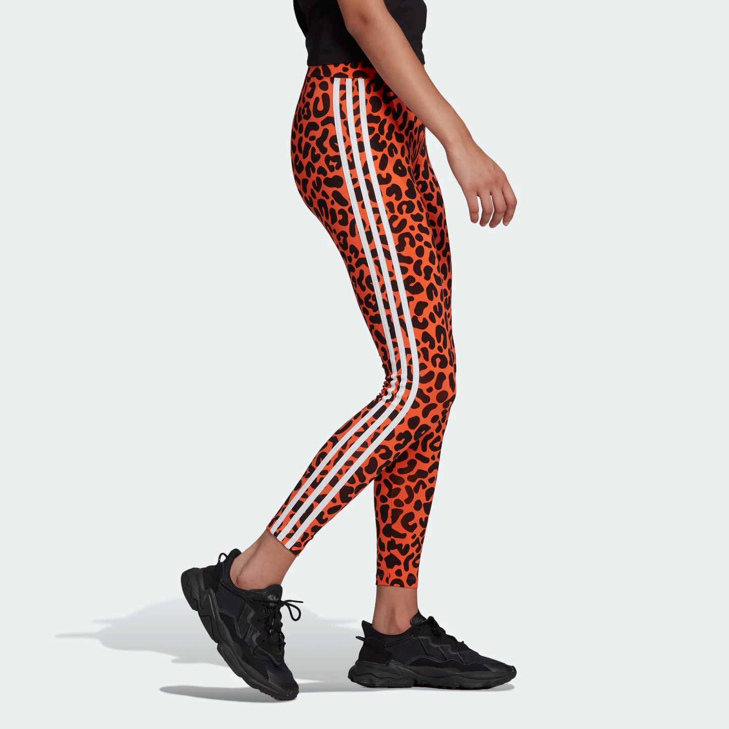 LEGGINGS RICH MNISI ANIMALIER